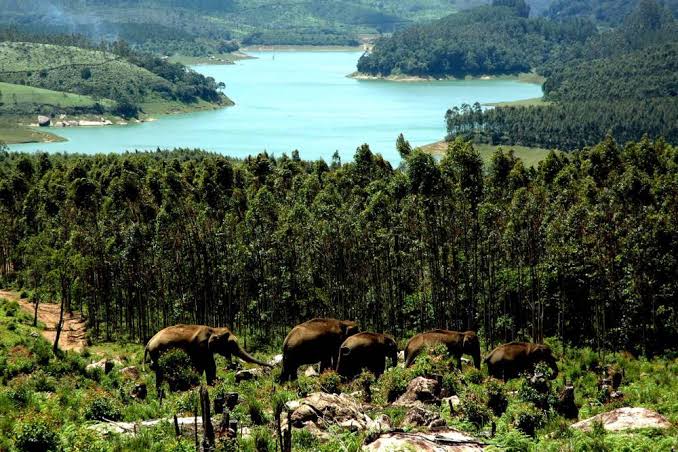 depth of gariep dam